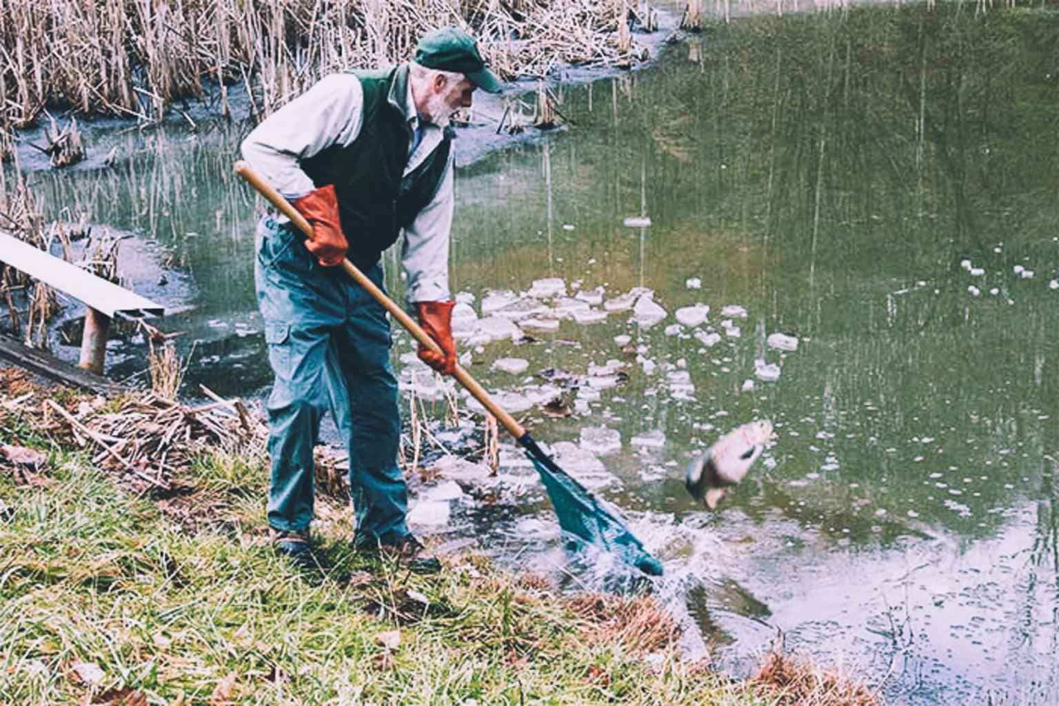 WVDNR announces return of trout stockings