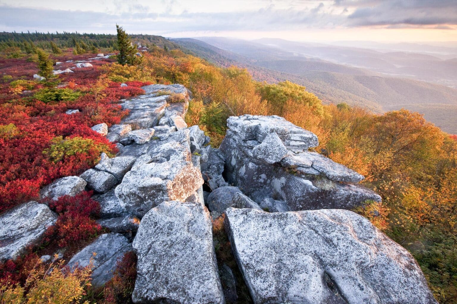 Bear Rocks and Allegheny Front Preserve gain 600th National Natural ...