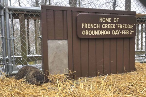 groundhog day 2025 french creek freddie