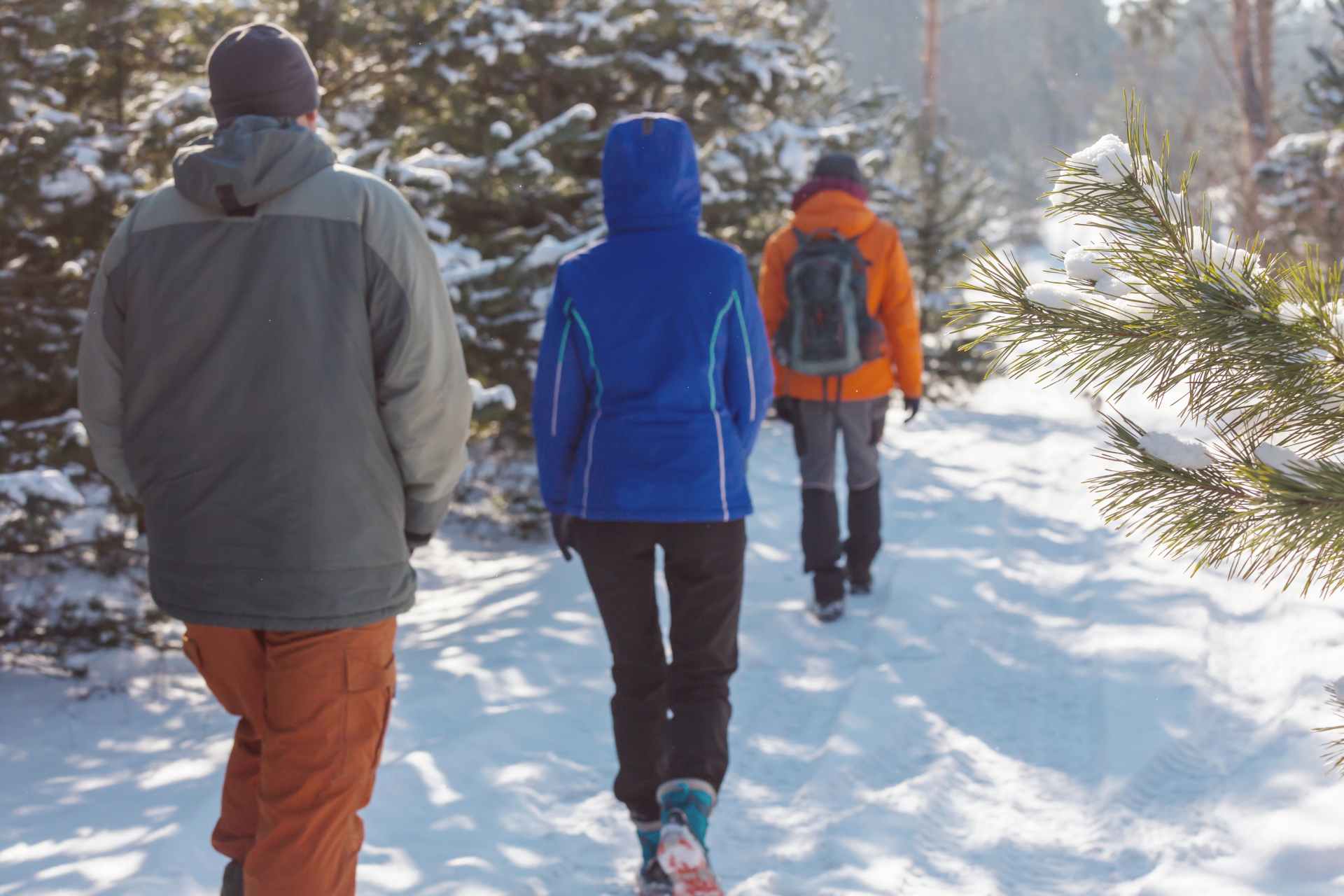 DNR, W.Va. State Parks announce First Day Hikes across the state