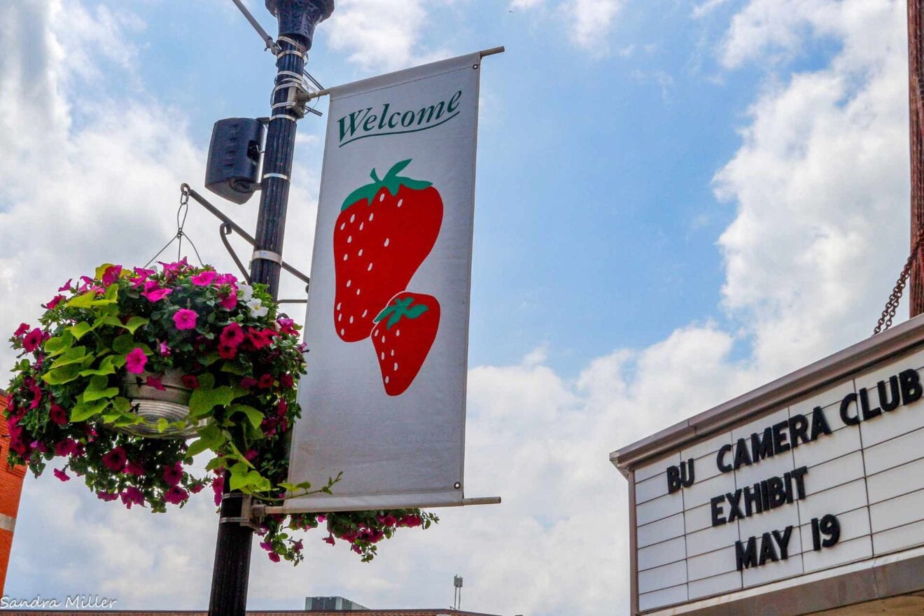 Buckhannon Upshur Camera Club announces 2024 Strawberry Festival photo