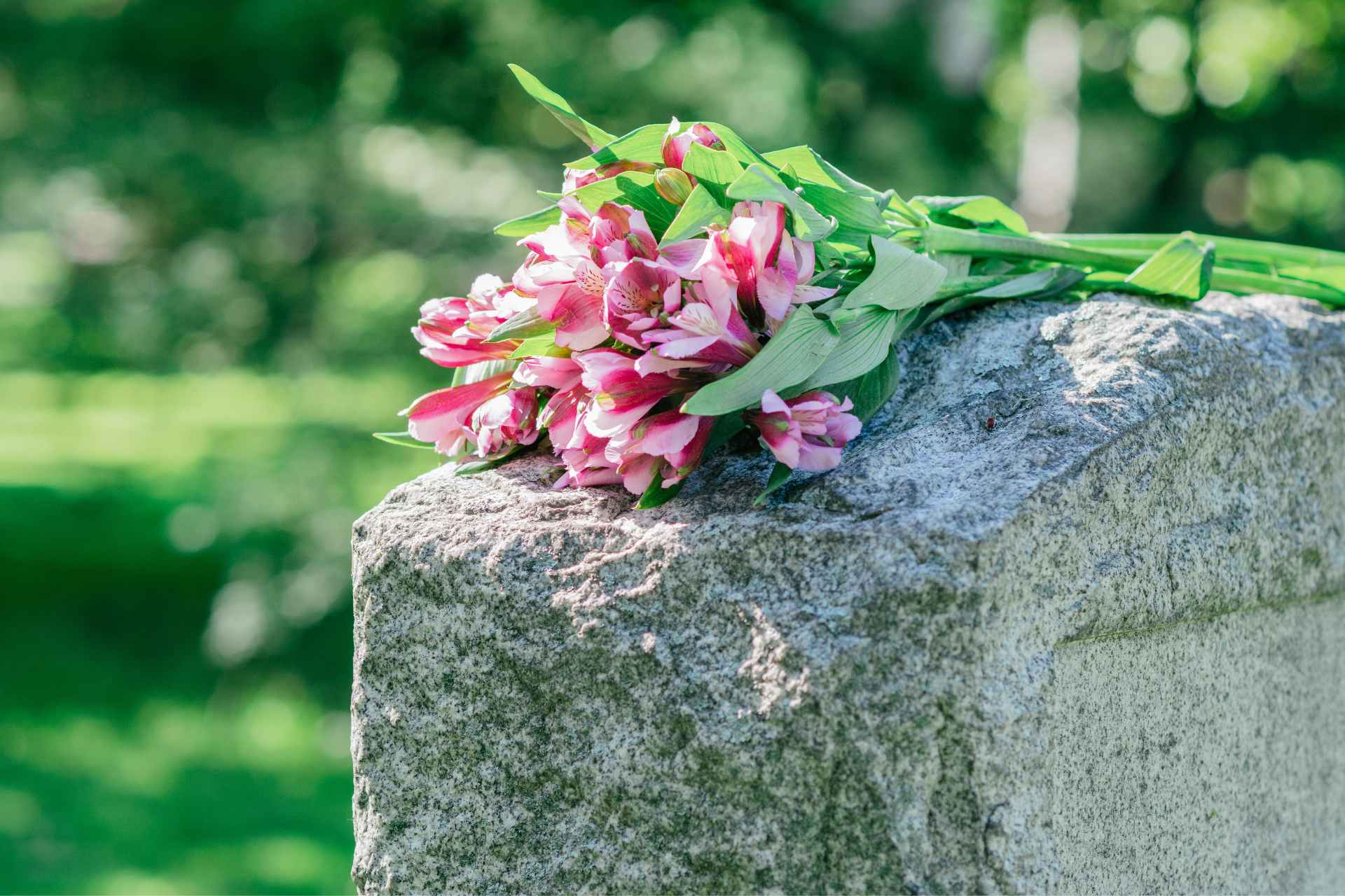 City Reminds Residents About 2024 Annual Spring Cemetery Clean Up   Feature Image Headshot 2024 03 14T172722.996 